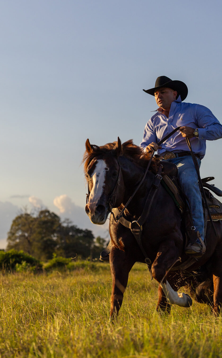 Pepinstep loping through open country under a big sky